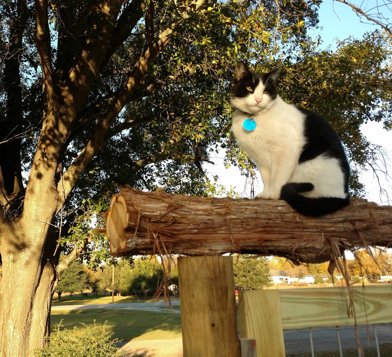 Downey Mobile Home & RV Park