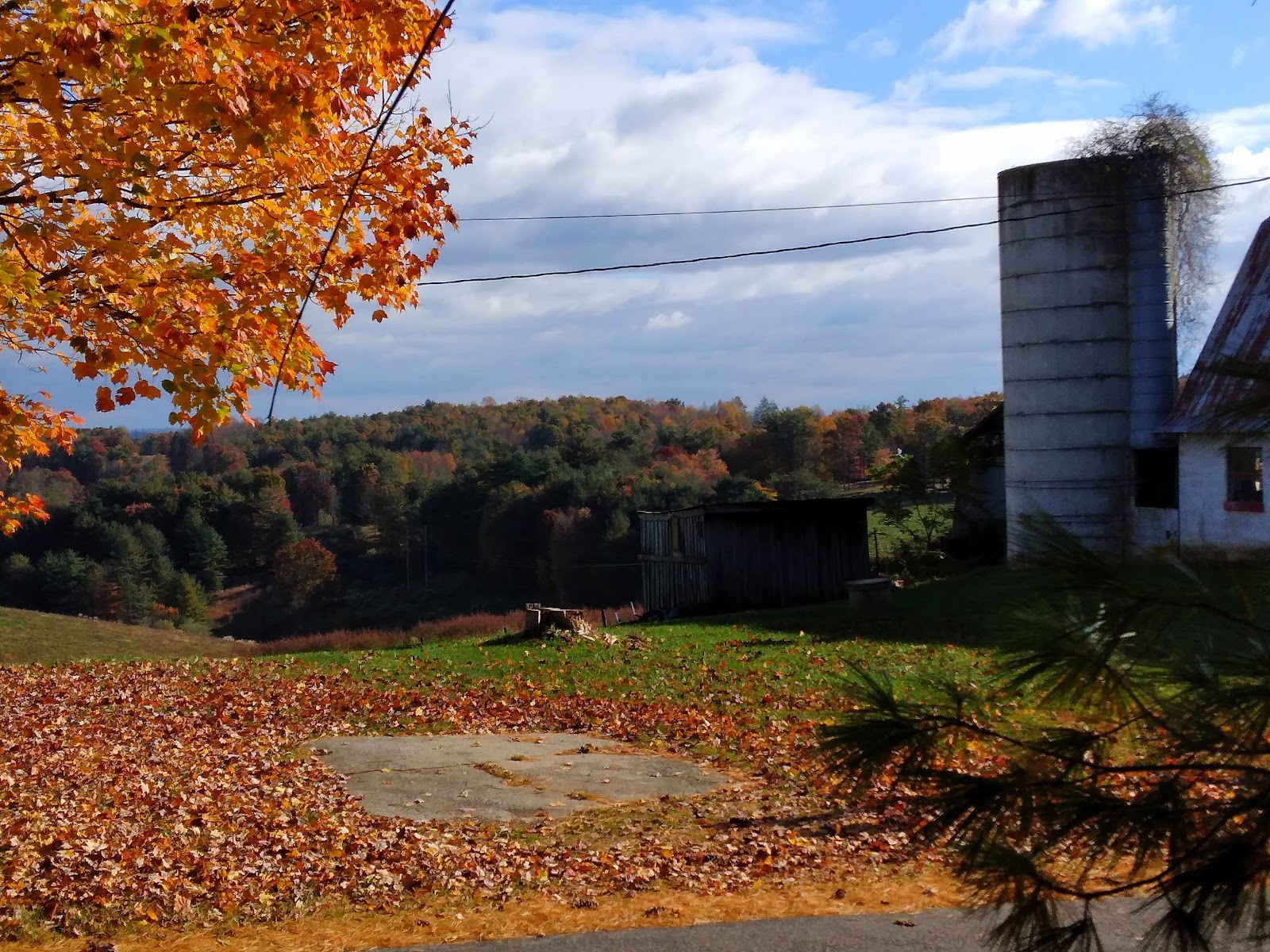 Cliffview Campground