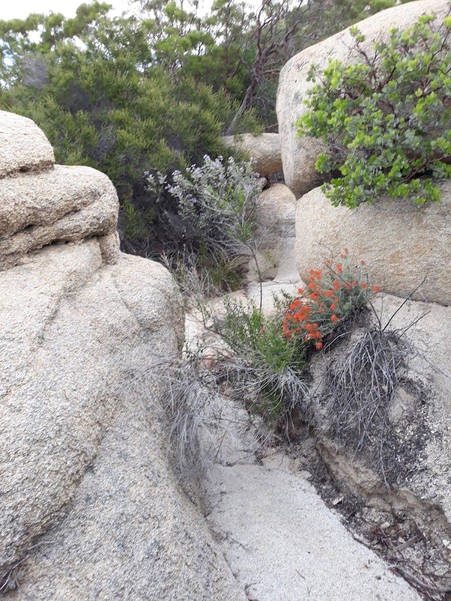 Atáxam Mámta'ash Campground (formerly Indian Flats)