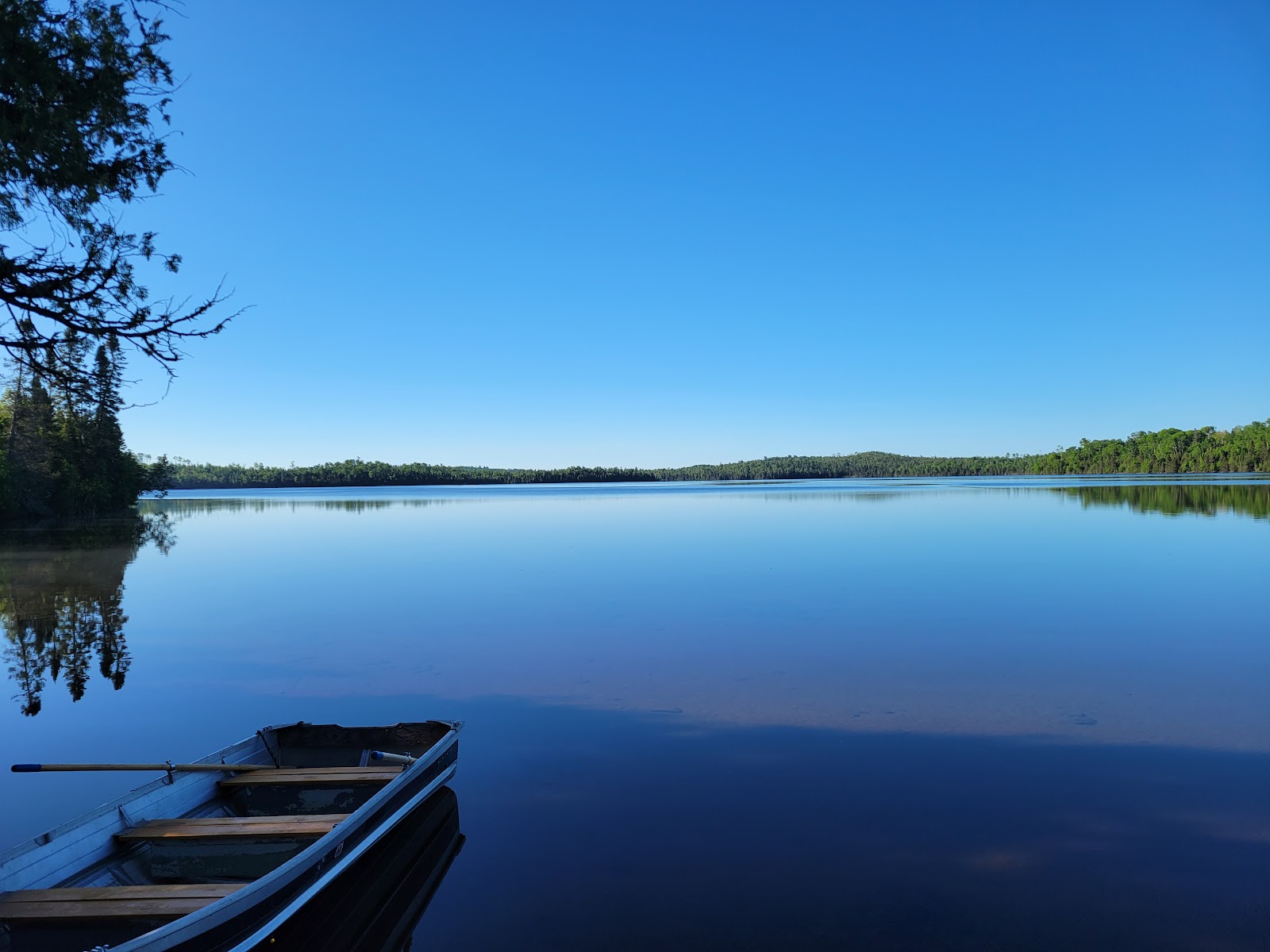 Whitefish Lake Rustic Campgd & Timber-Frear Area