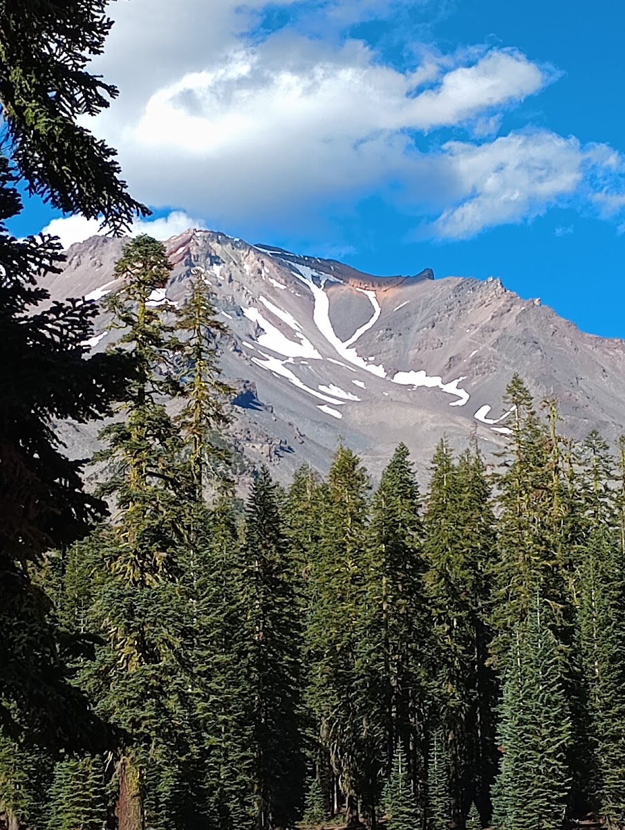 Upper sand flat field