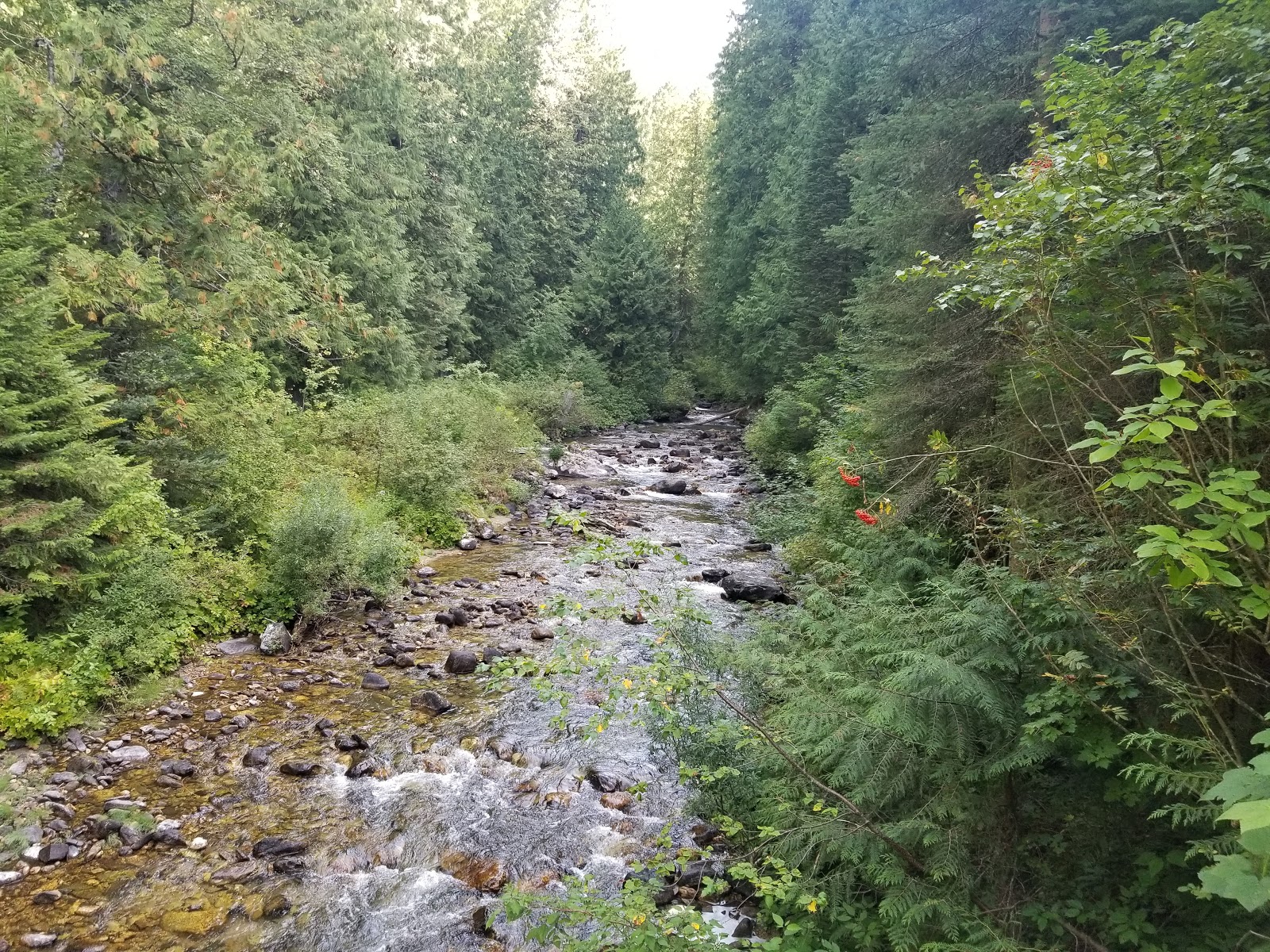 Hidden Creek Campground