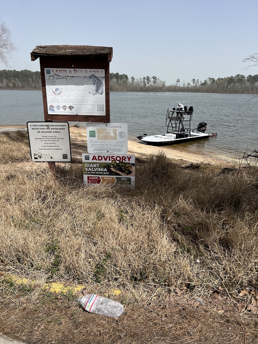 Caney Creek Recreation Area - Angelina National Forest