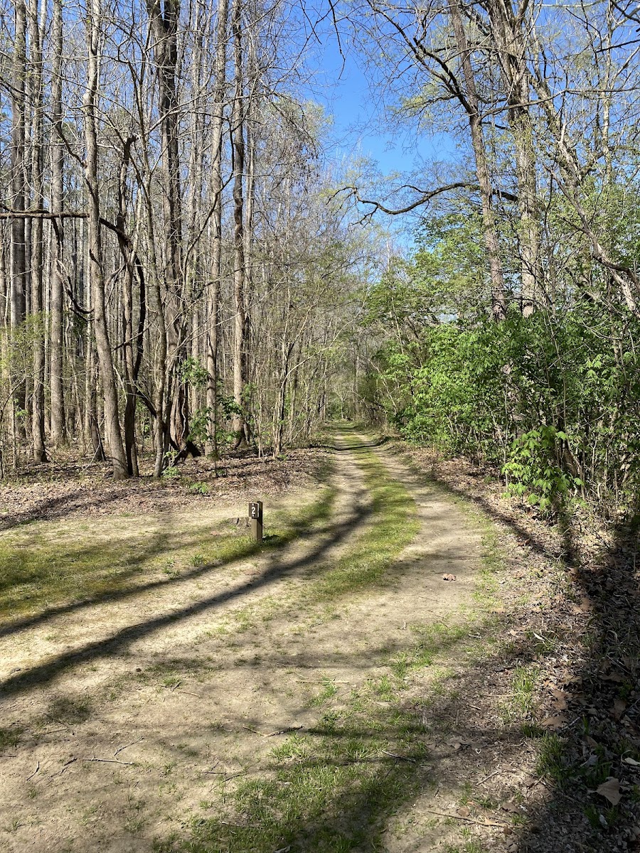 Raven Rock Canoe-in Campsites