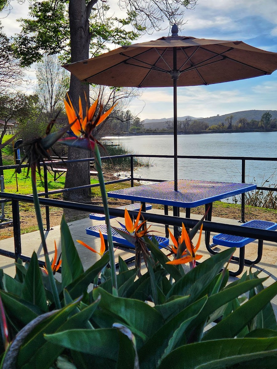 Lake O'Neill Campground