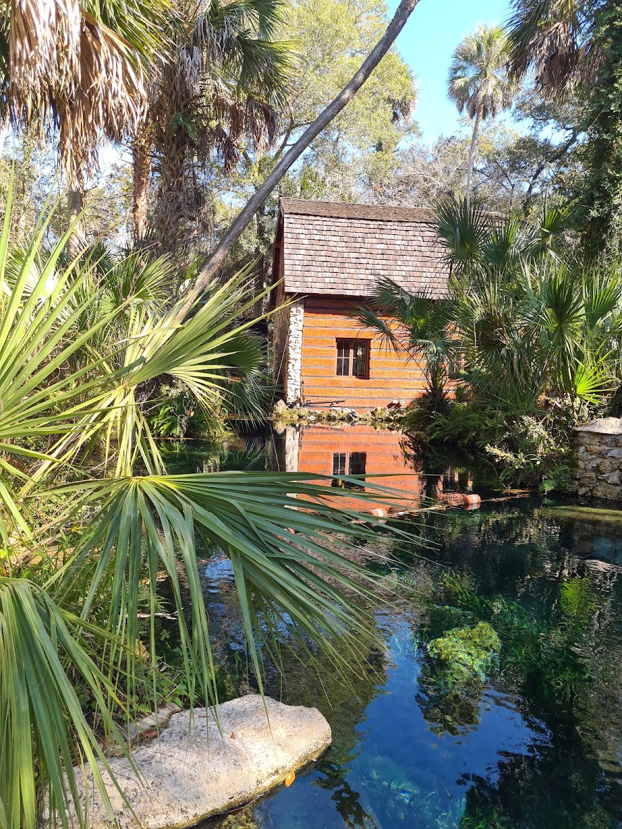 Juniper Springs Campground