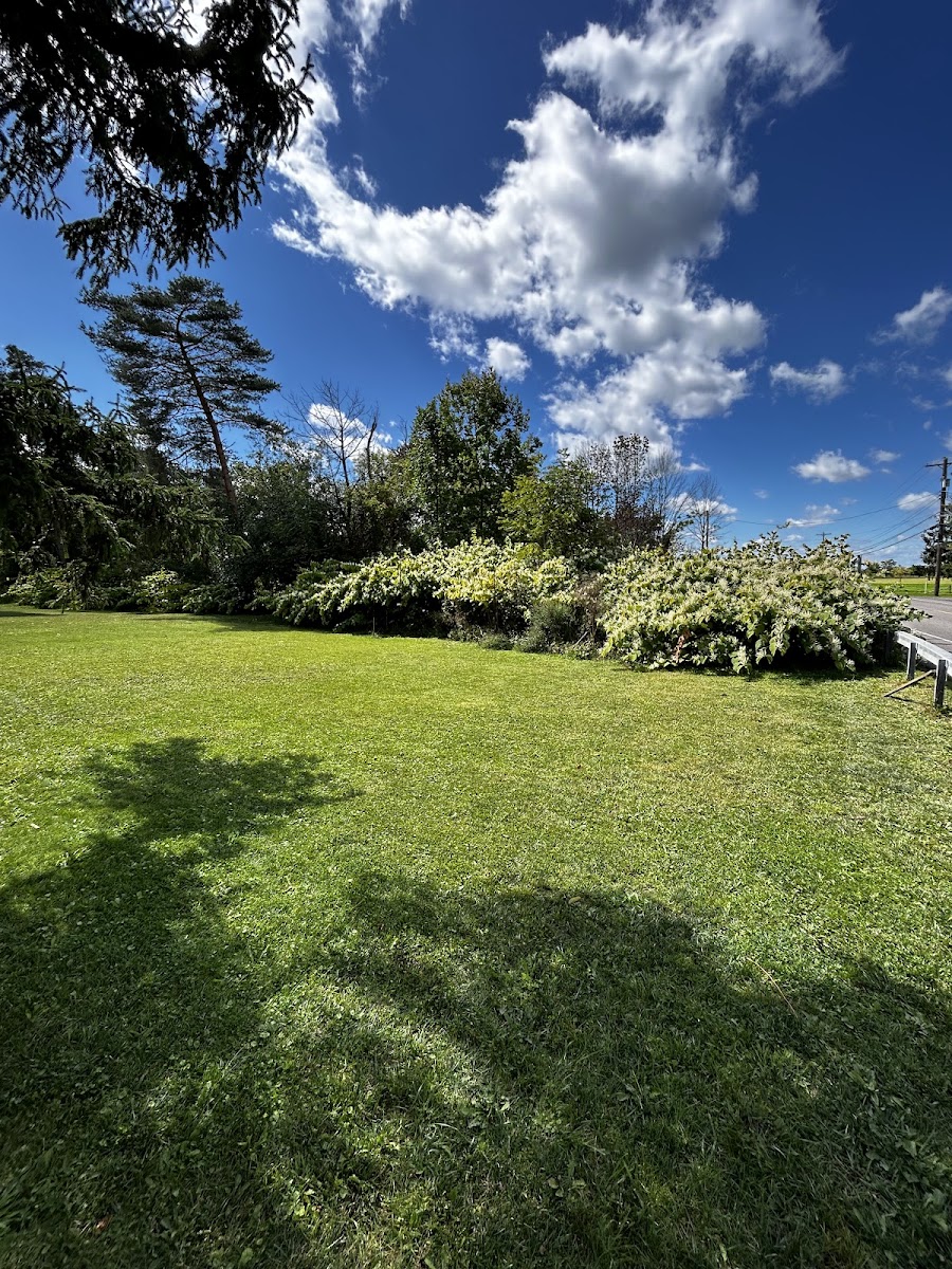 Long Meadow Mobile Home Court