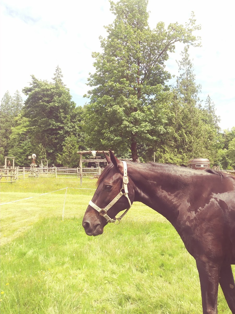 Cowboy Campsite Private Equine/Membership