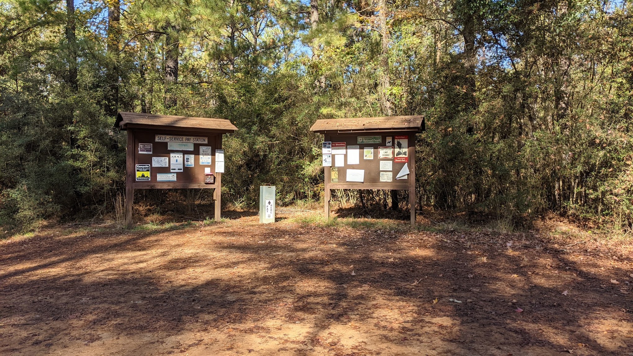 Kisatchie Bayou Campground