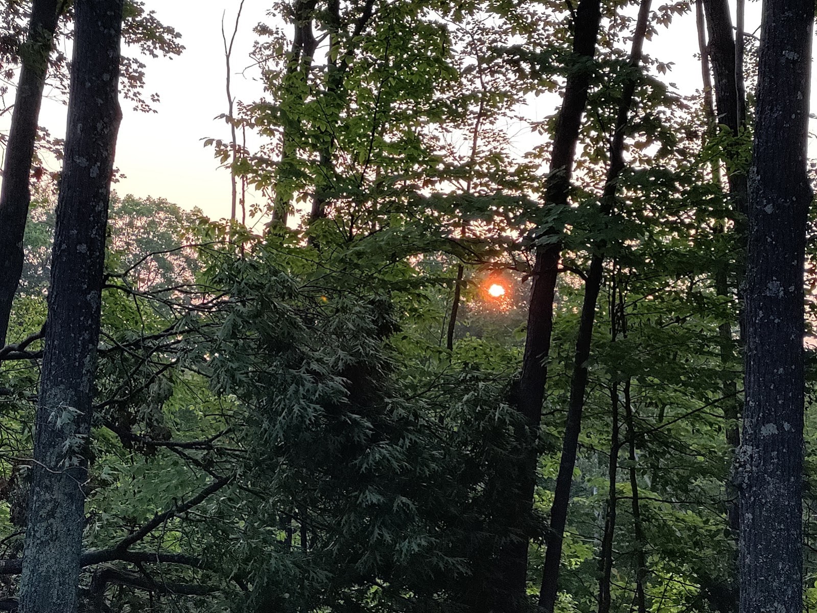 Birchwood Campground