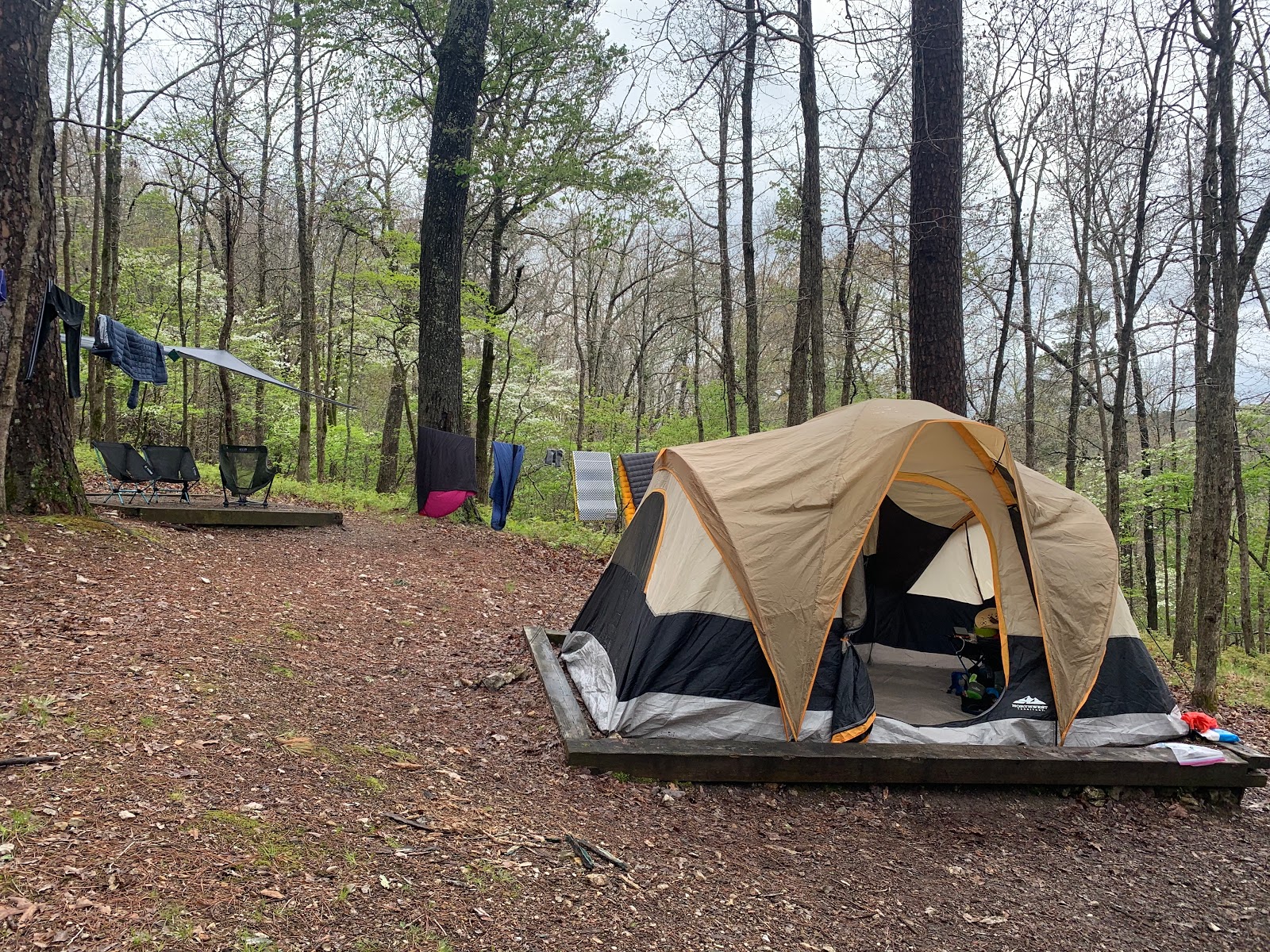 Pigeon Roost Campsite 3