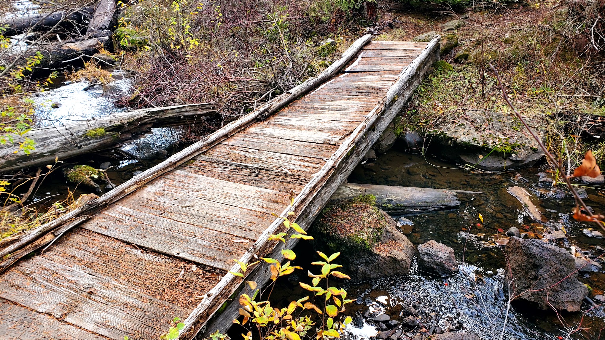 Beaver Dam Campground