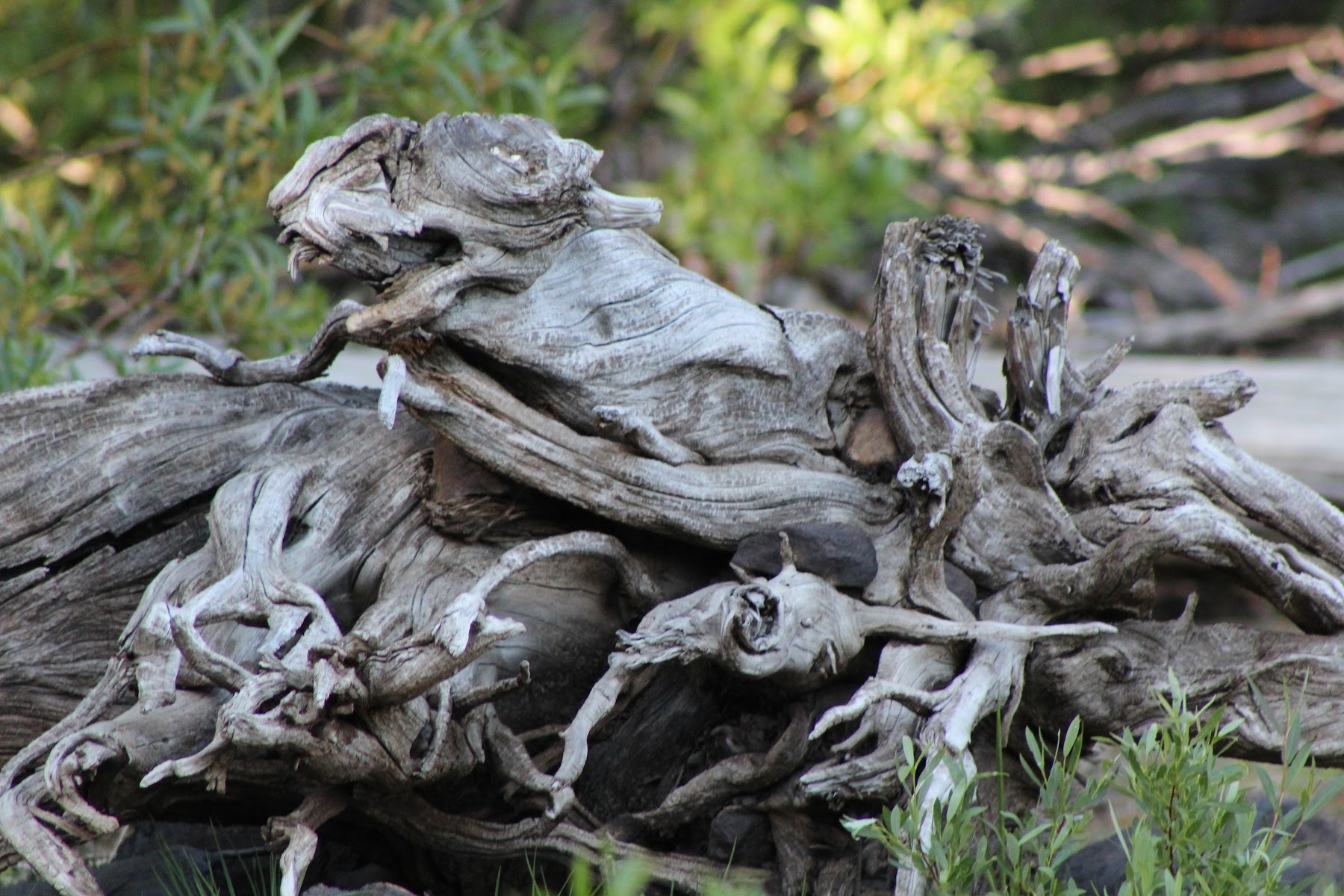 Snag Lake Campground