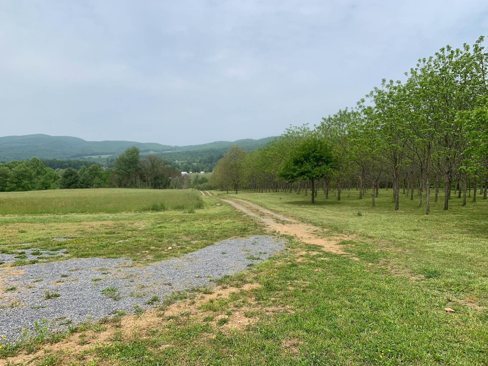 TriMountainView Campground