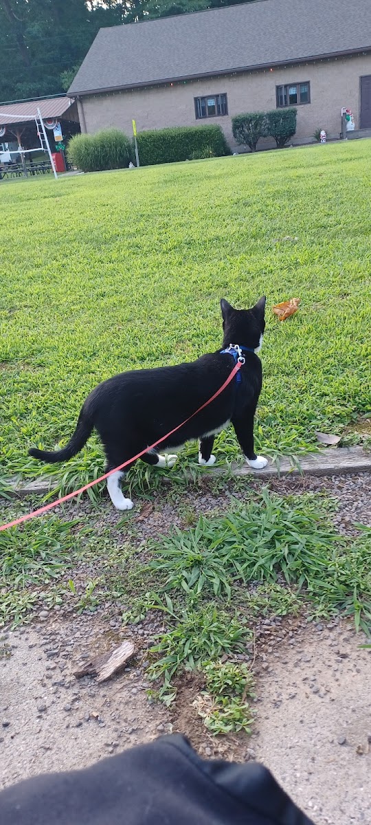 Onawandah Private Campground