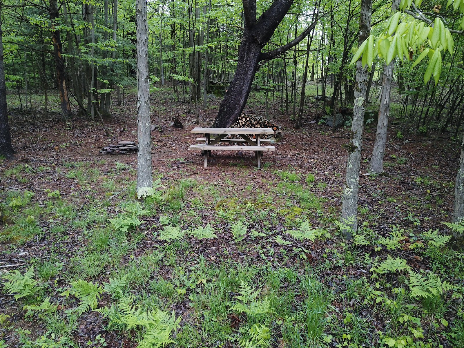 Camp Mountain Tent & Tipi