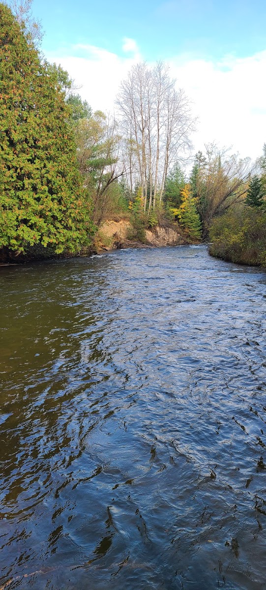 Haakwood State Forest Campground