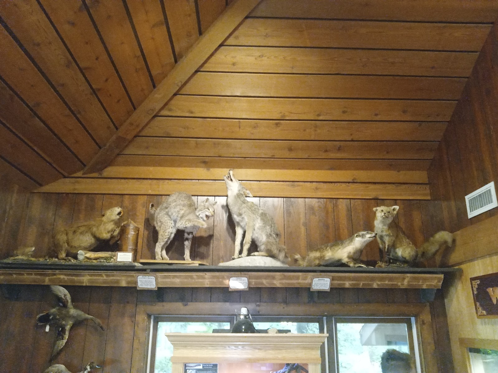 Potato Creek Campground