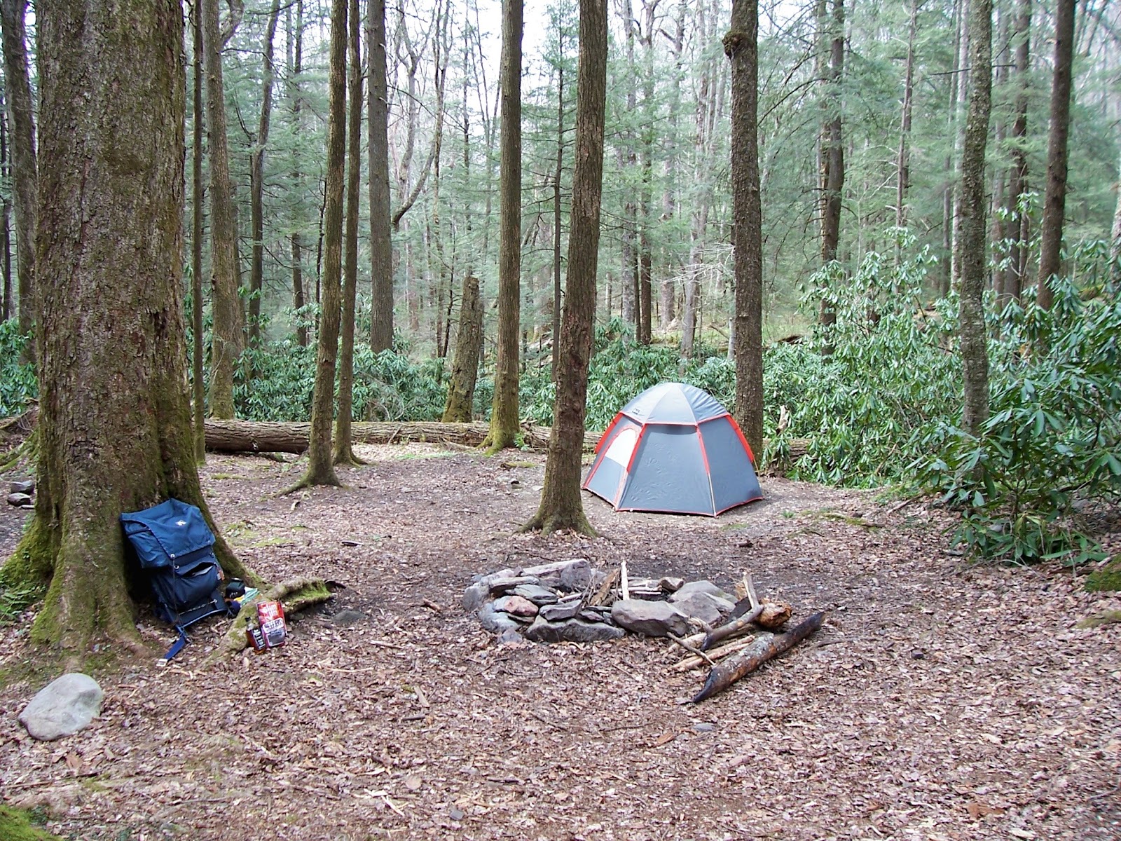 Backcountry Campsite #31