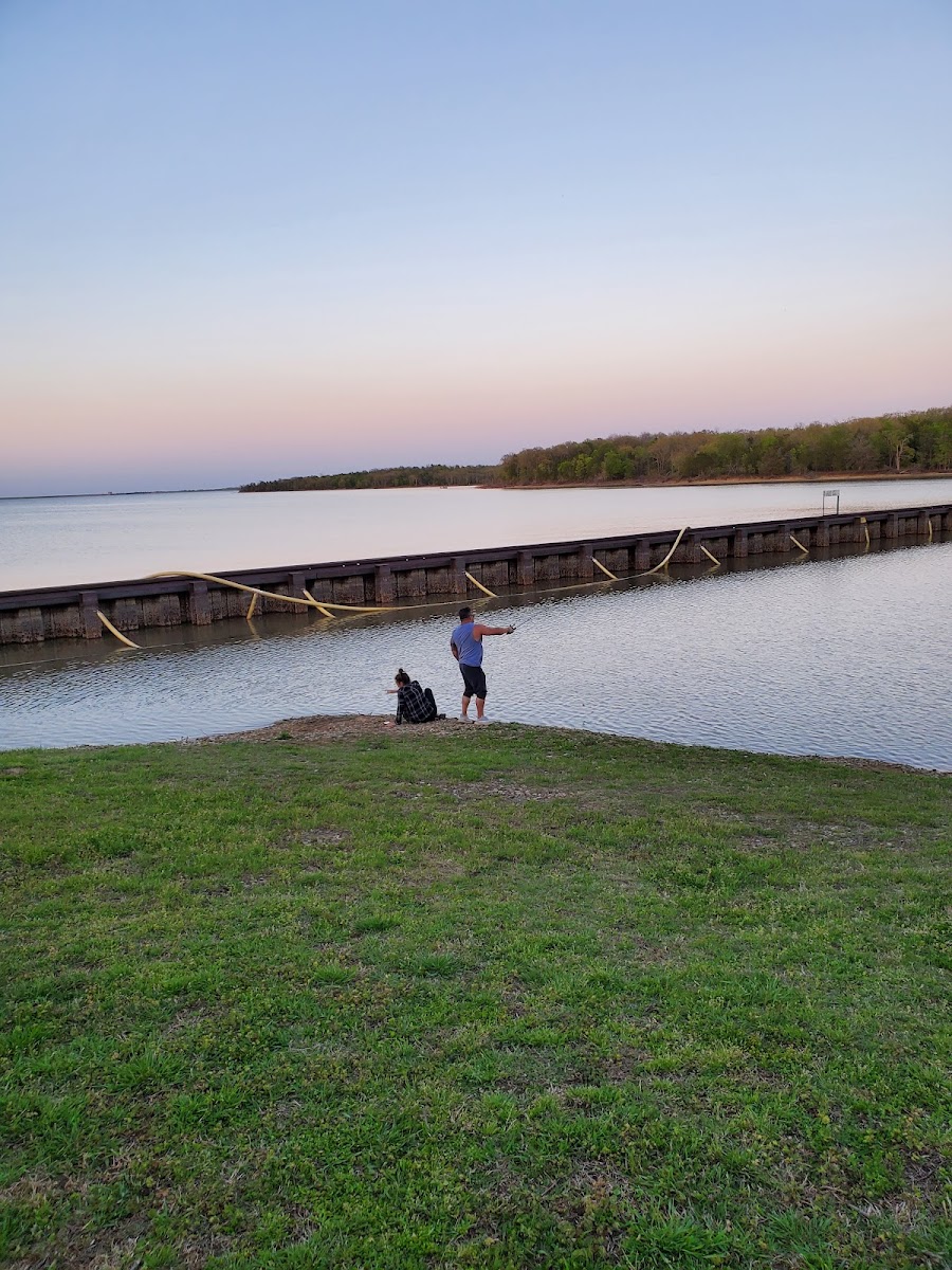 Buggy Whip Equestrian Campground