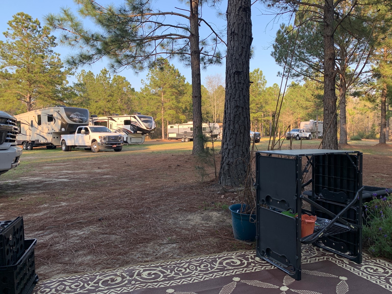 Shady Pines RV Park - Baxley, GA