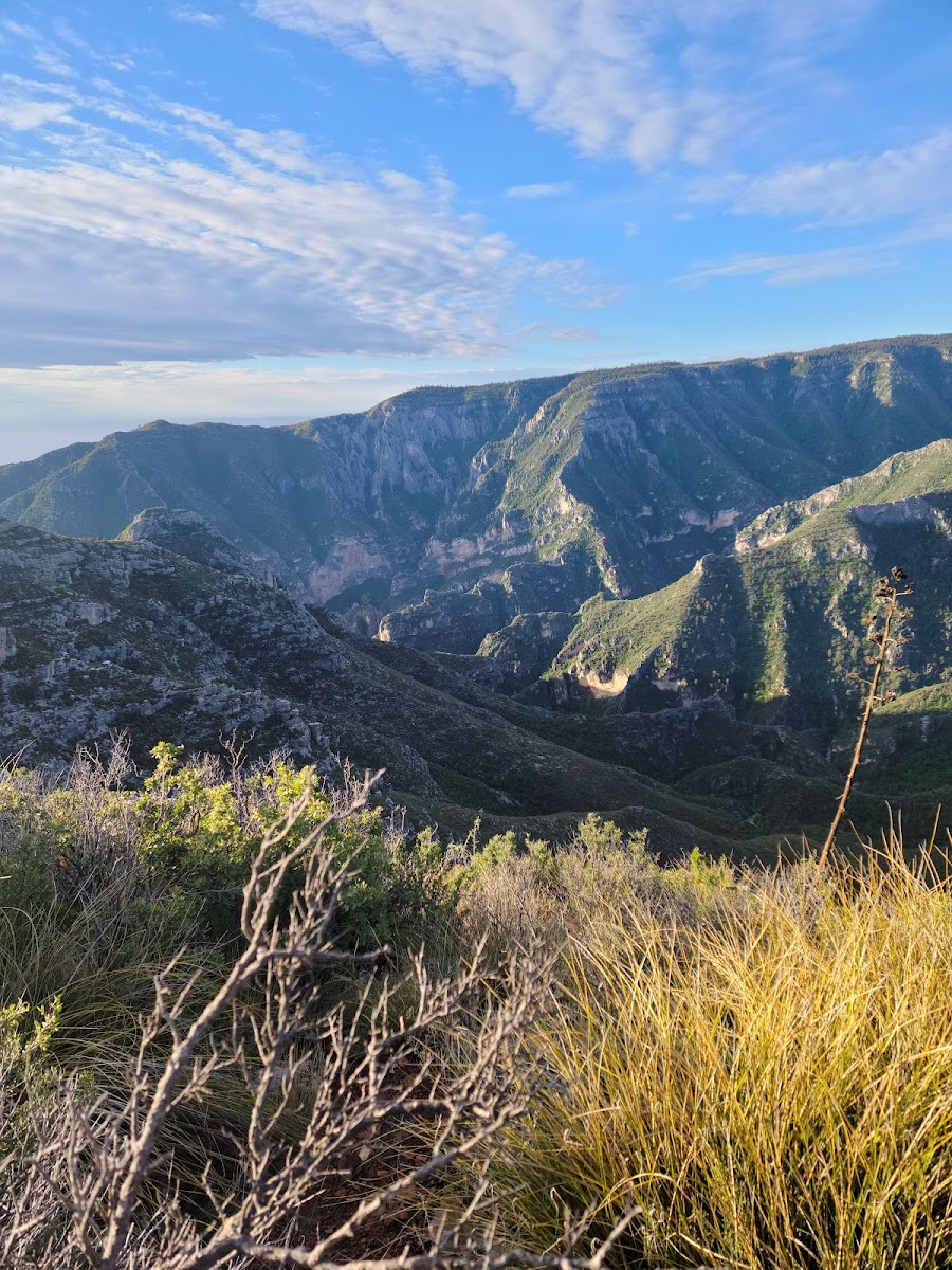 McKittrick Ridge Wilderness Campground