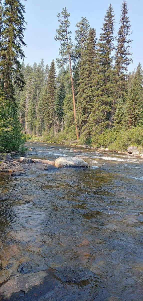 Ponderosa Campground