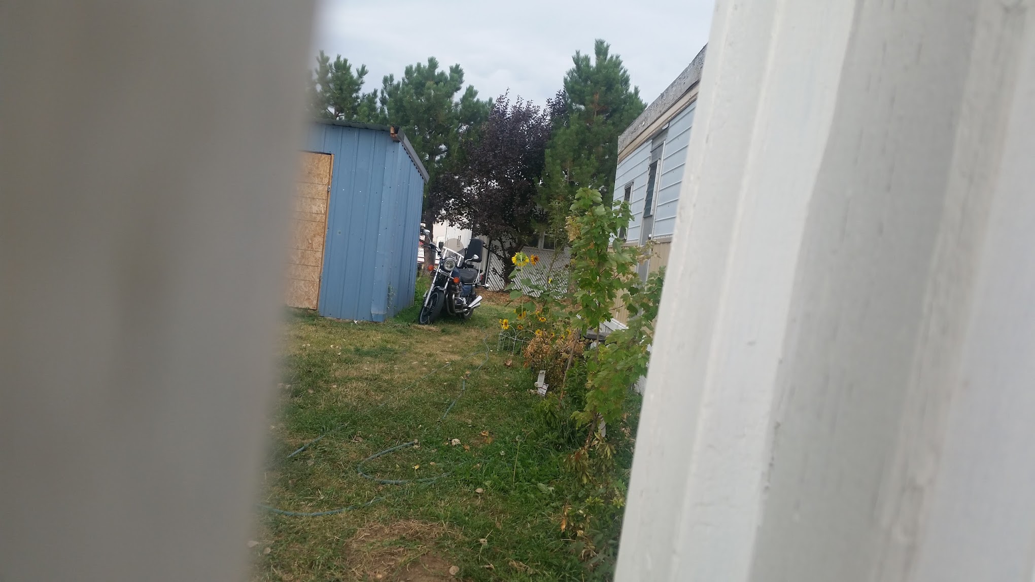 Antelope trailer park