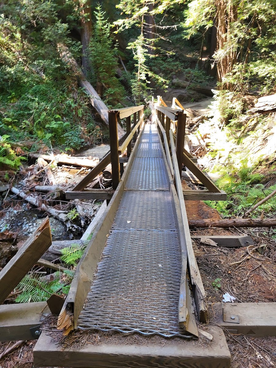 Alice Eastwood Group Campsite