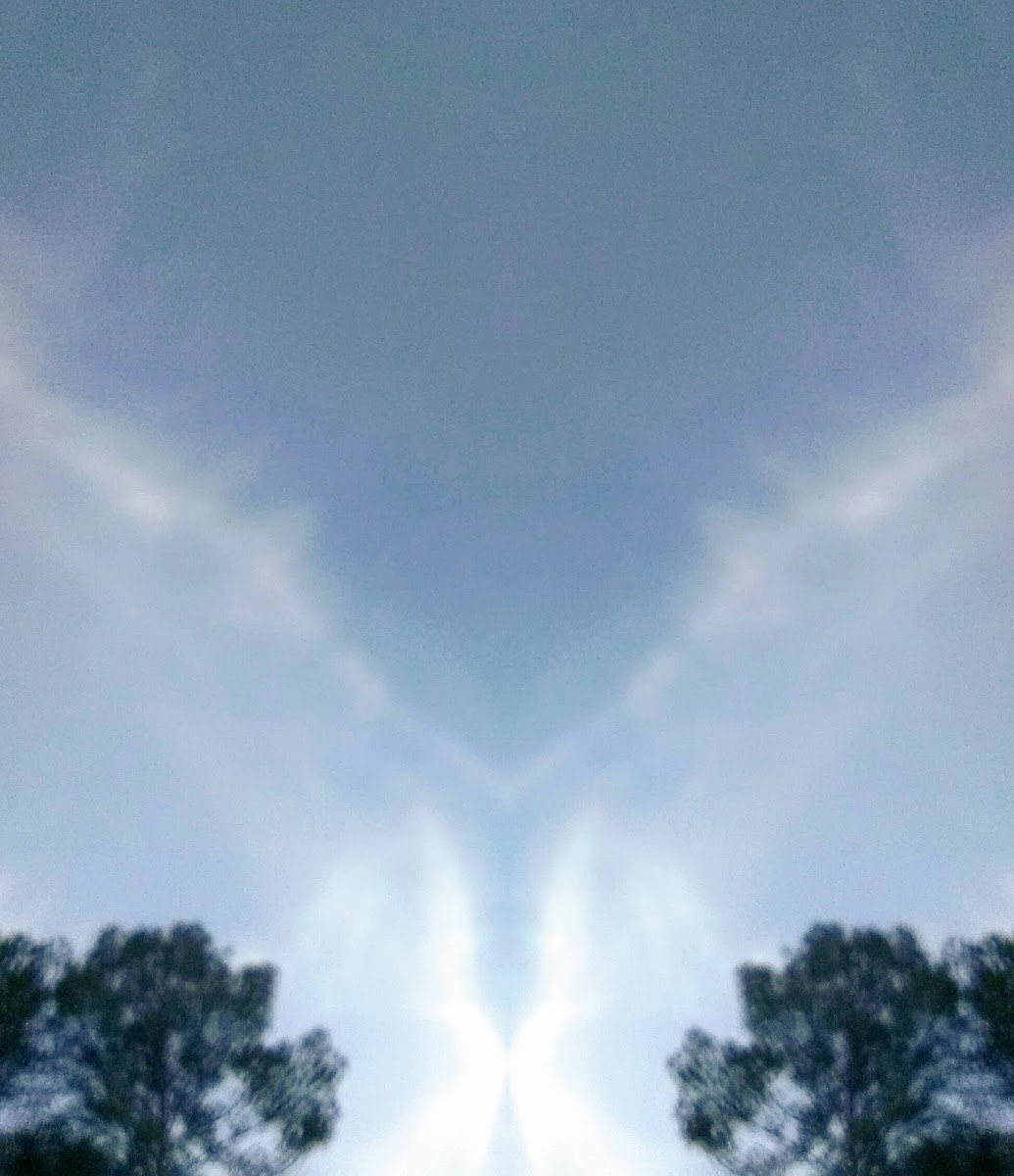 Birditt's Mobile Home & RV