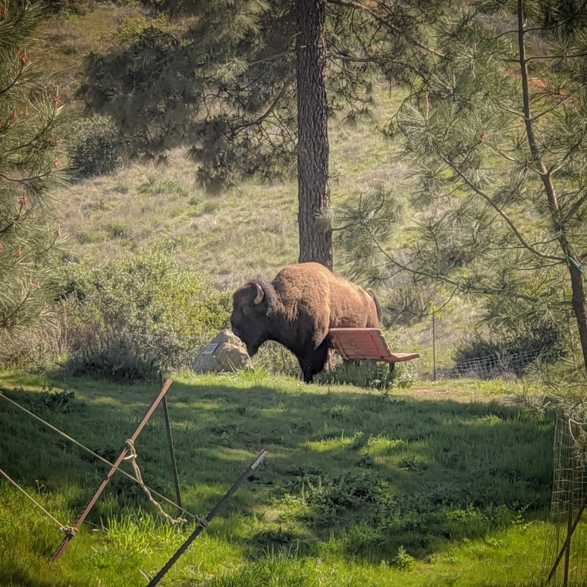 Black Jack Campground