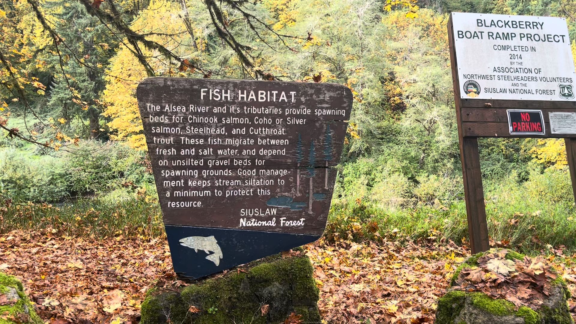 Alsea River Corridor