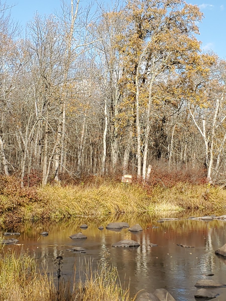 Lower Falls Watercraft Campsite