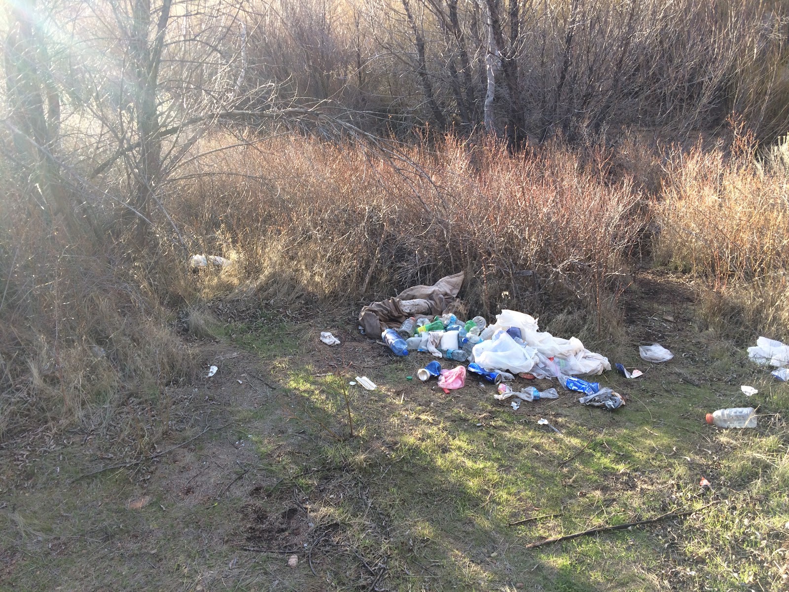 Upper Rancho Nuevo Campground