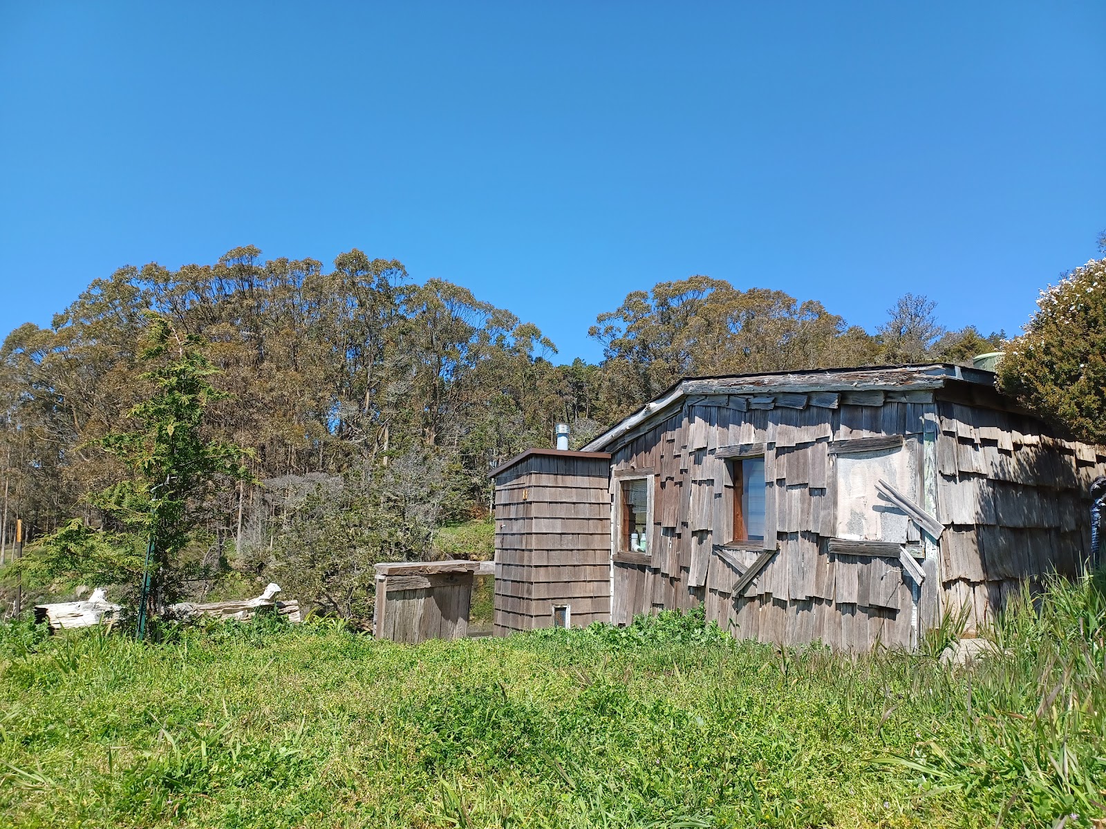 Timber Cove Boat Landing & Campground