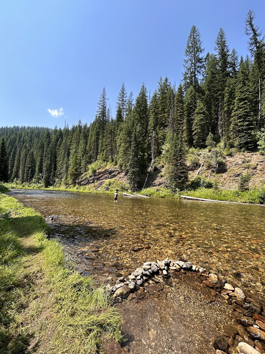 Spruce Tree Campground