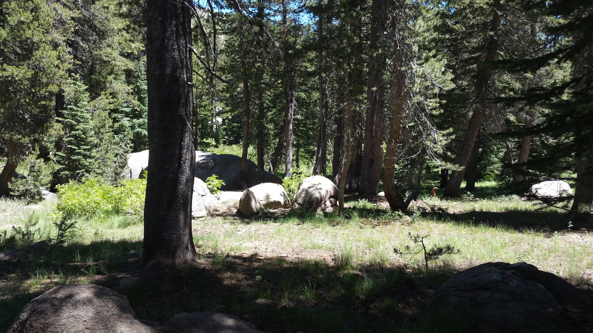 Damsite Campground