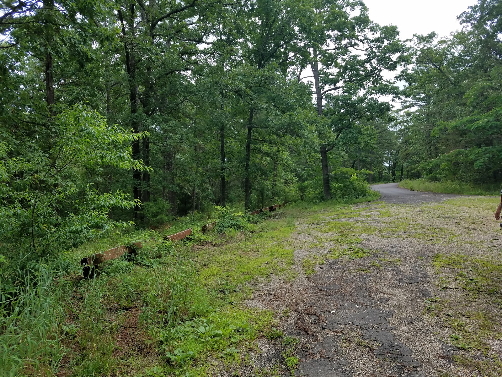 Little Scotia Campground