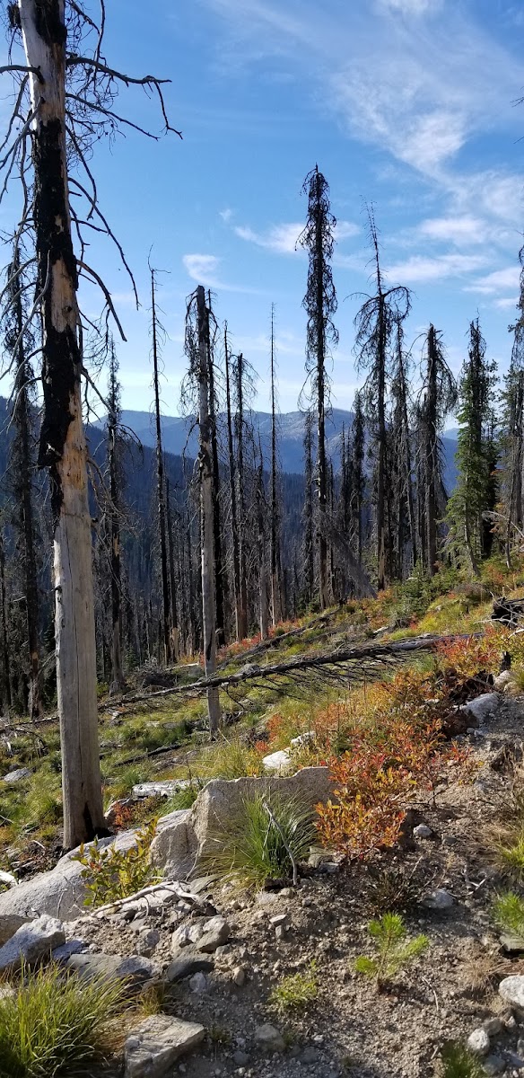 Hoodoo Lake Campground