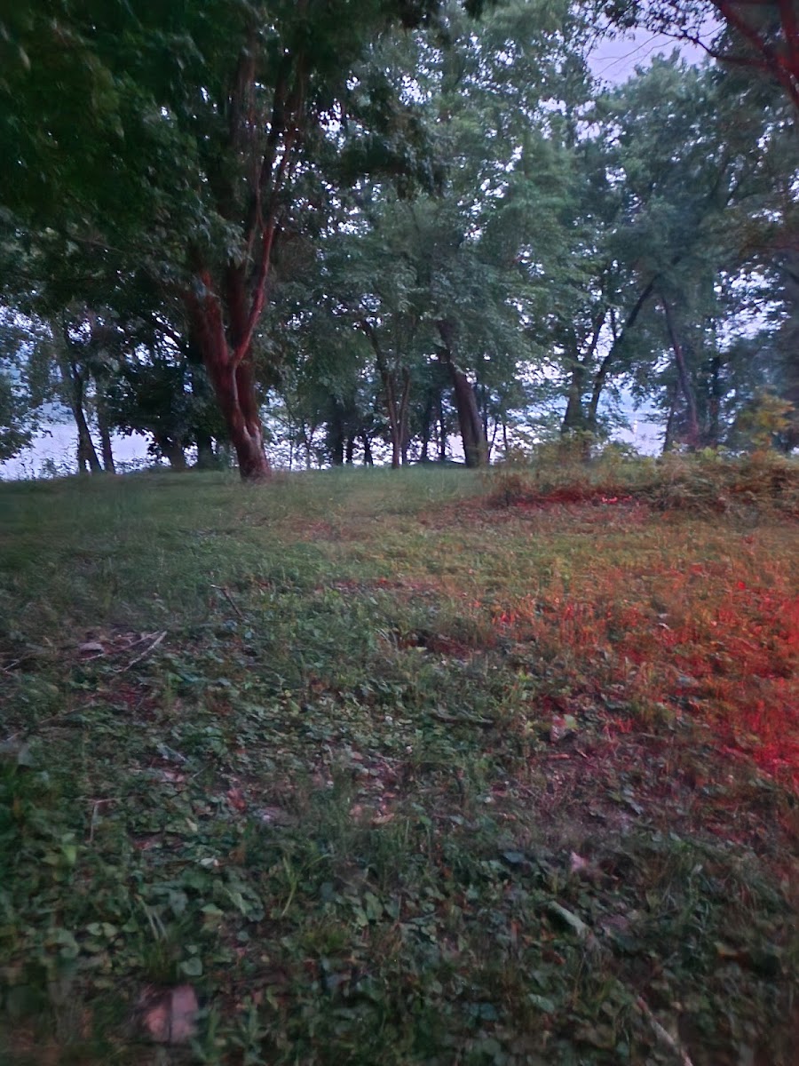 Indian Creek Landing Campground