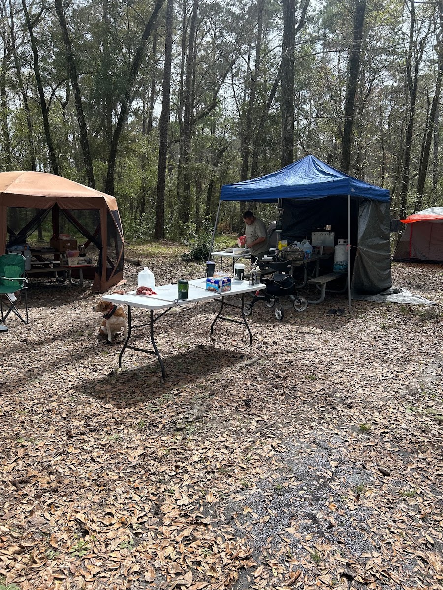 Whitehead Lake Campground