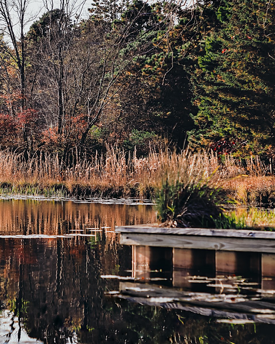Lady's Lake Campgroud