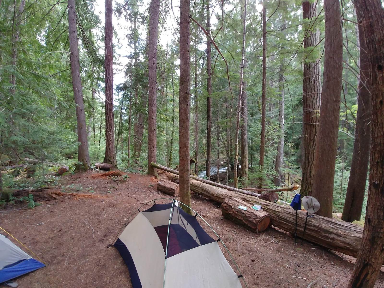 May Creek Stock Camp