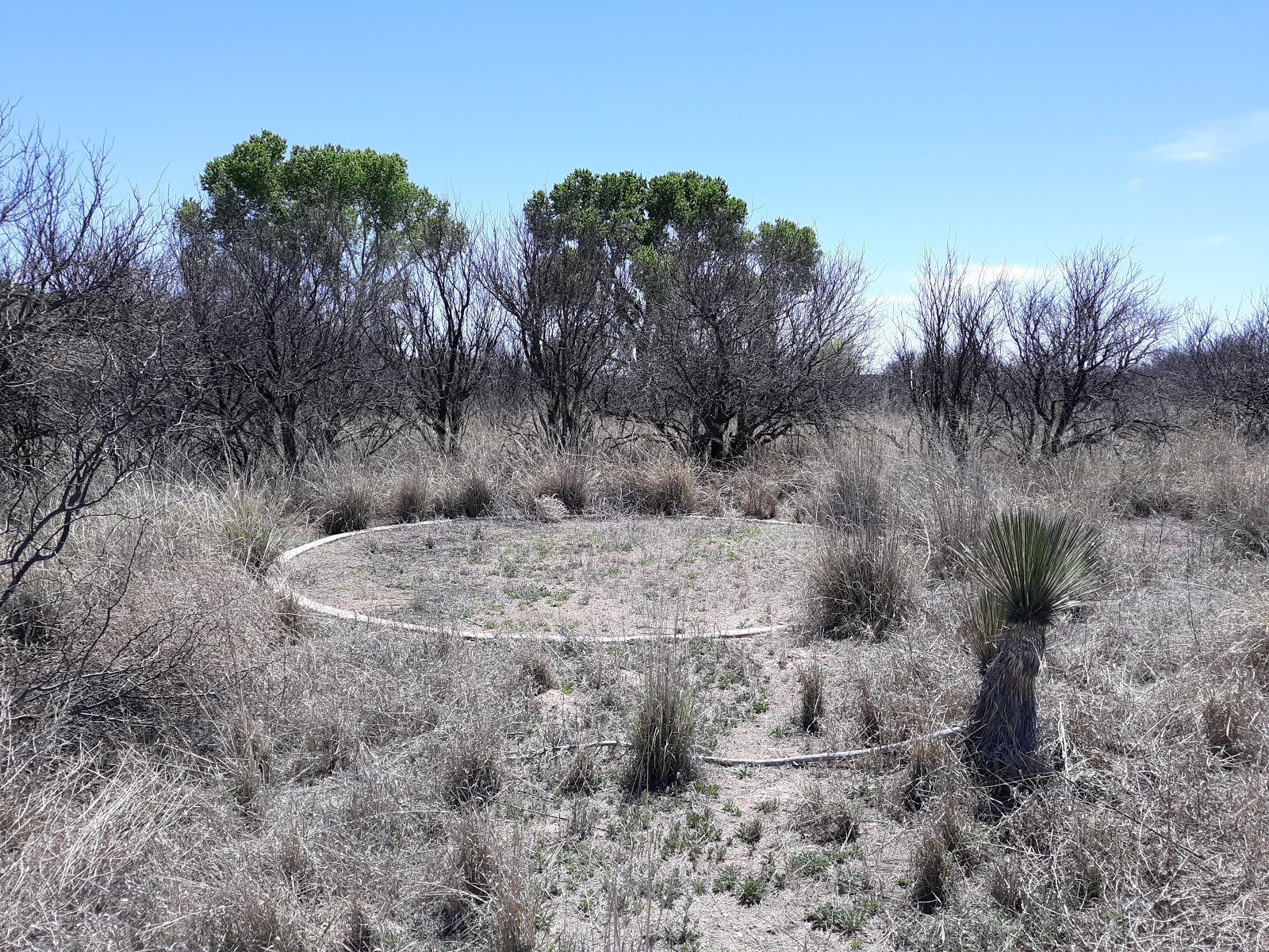Miller Backcountry Campsite