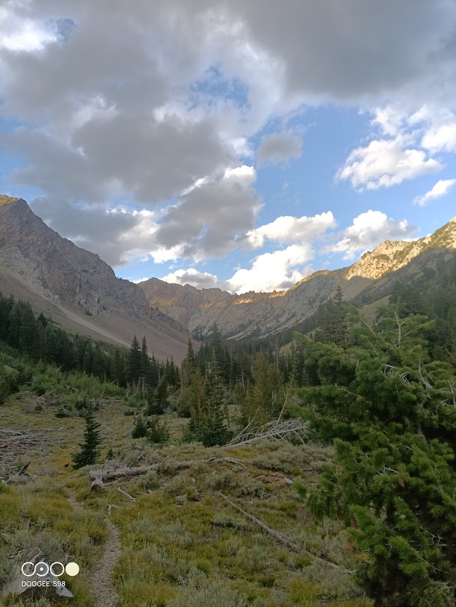 Federal Gulch Campground