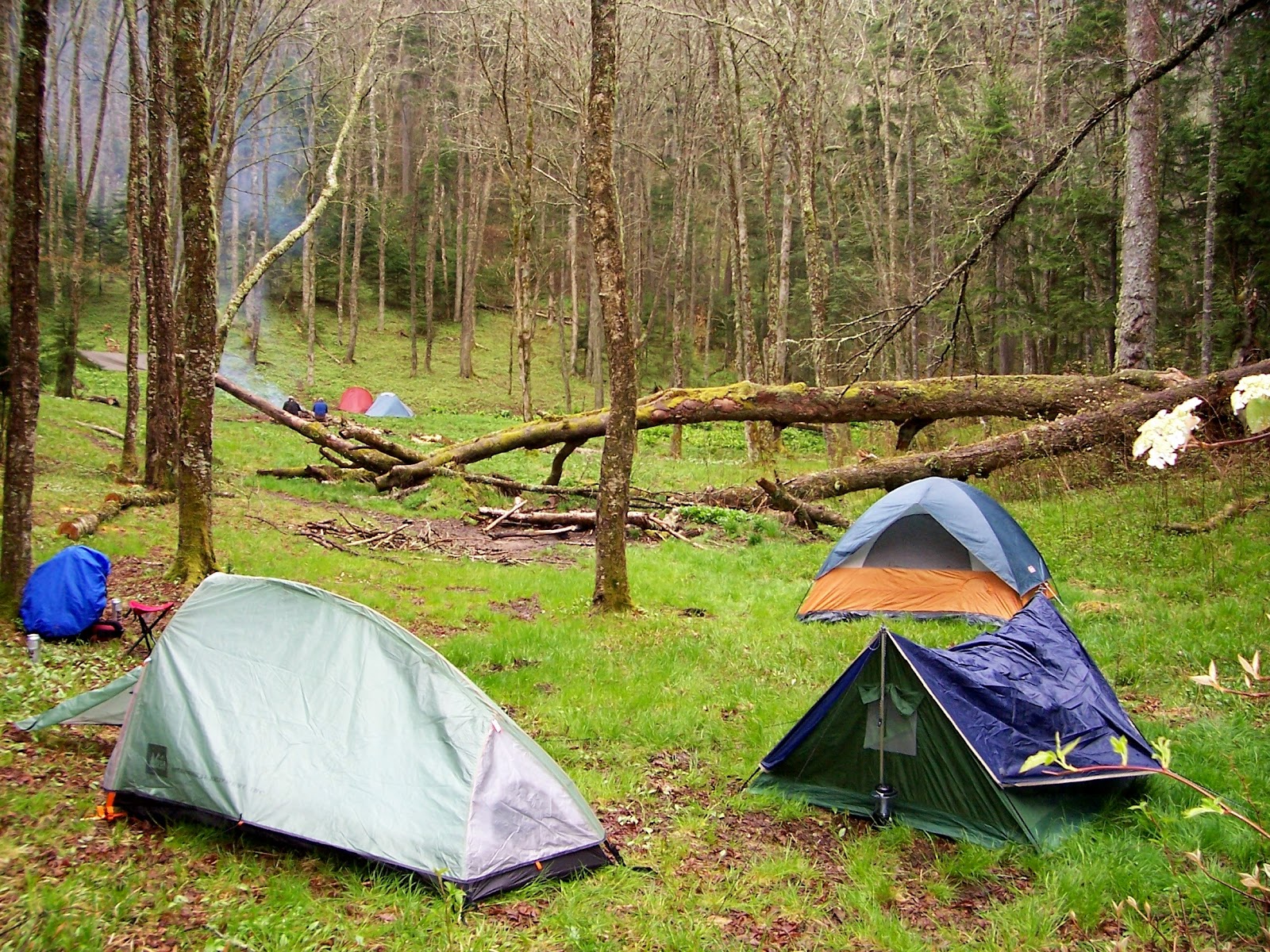 Backcountry Campsite #44