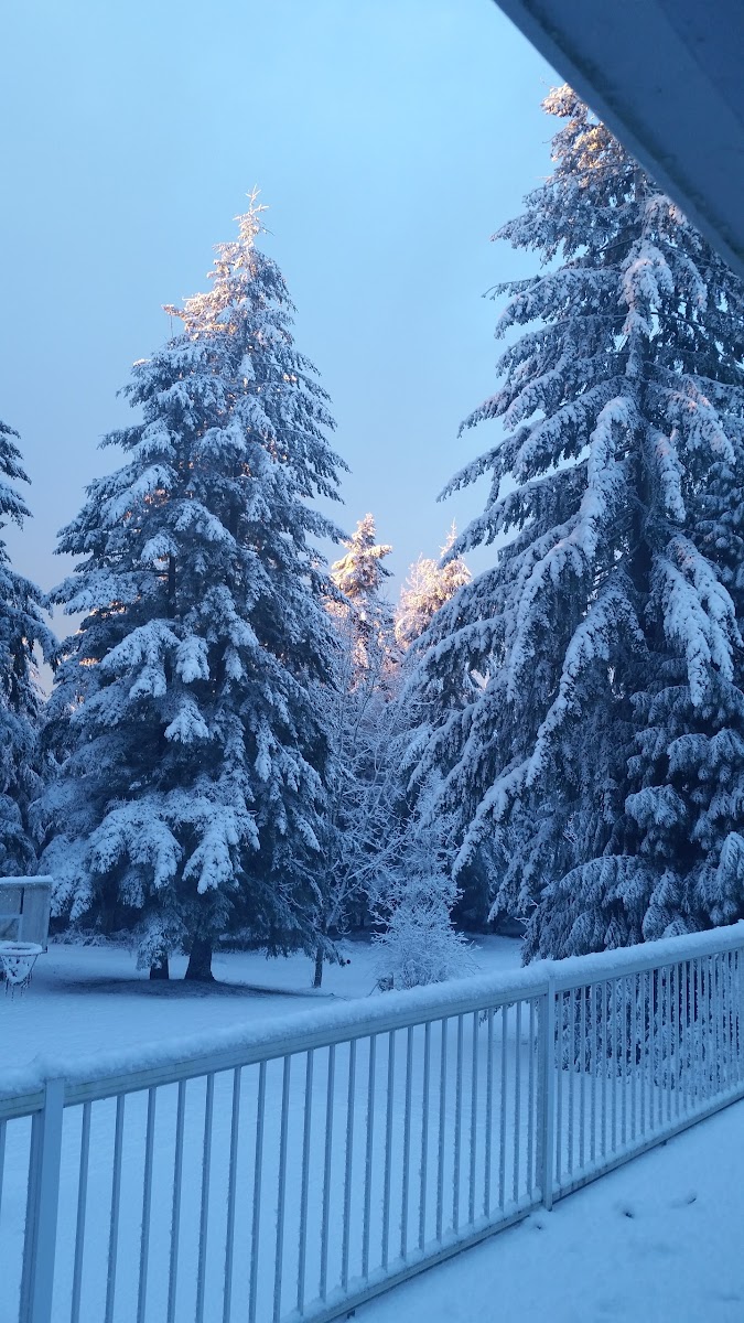 Plaza Park Resident Owned Parks Inc