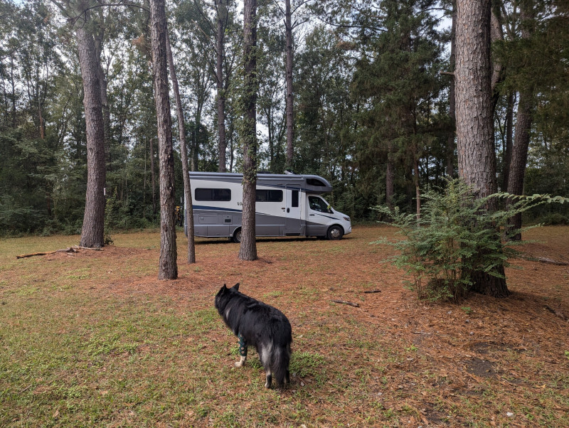 Camping on the Bayou