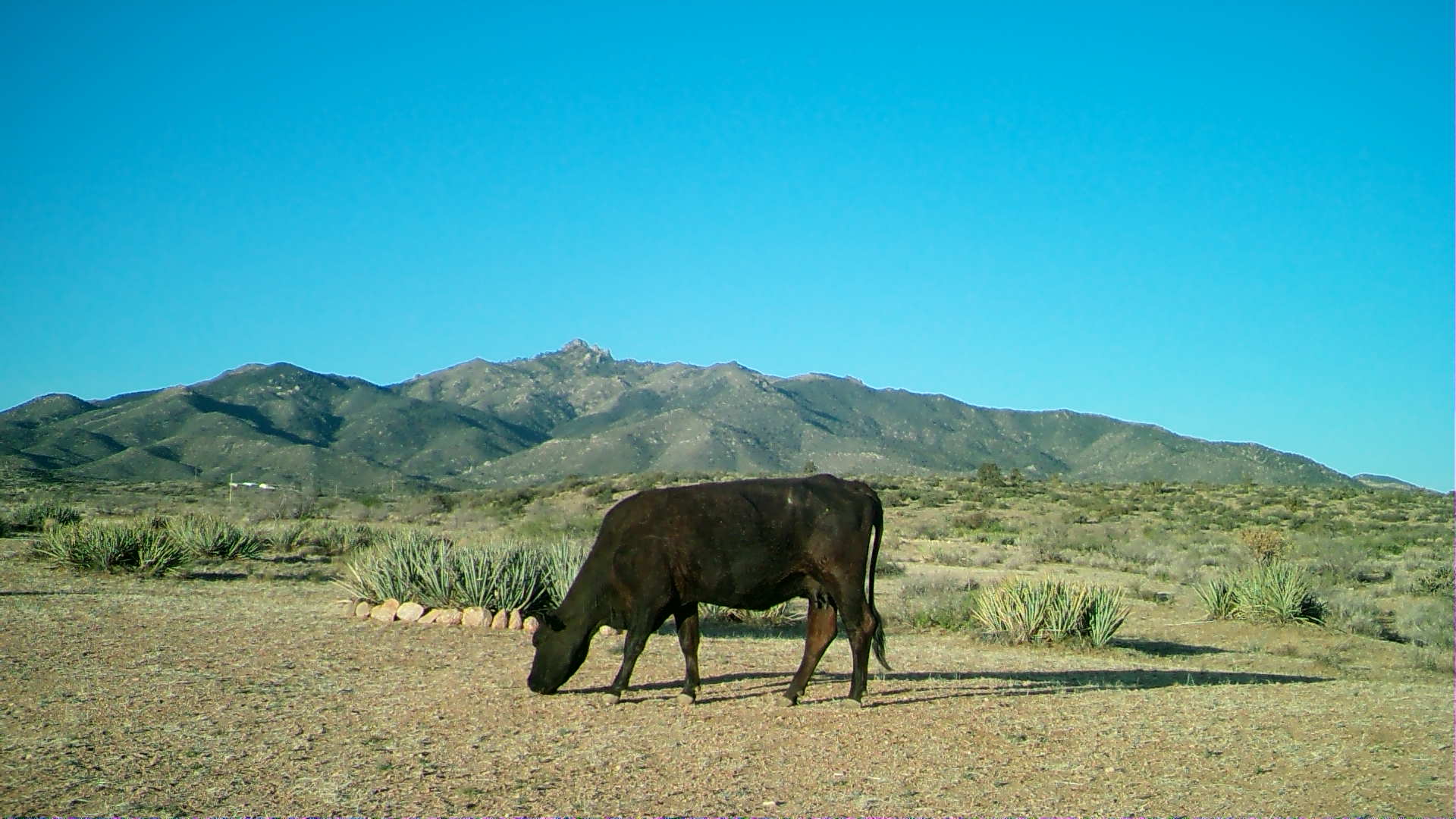 The Permaculture Paradise Village