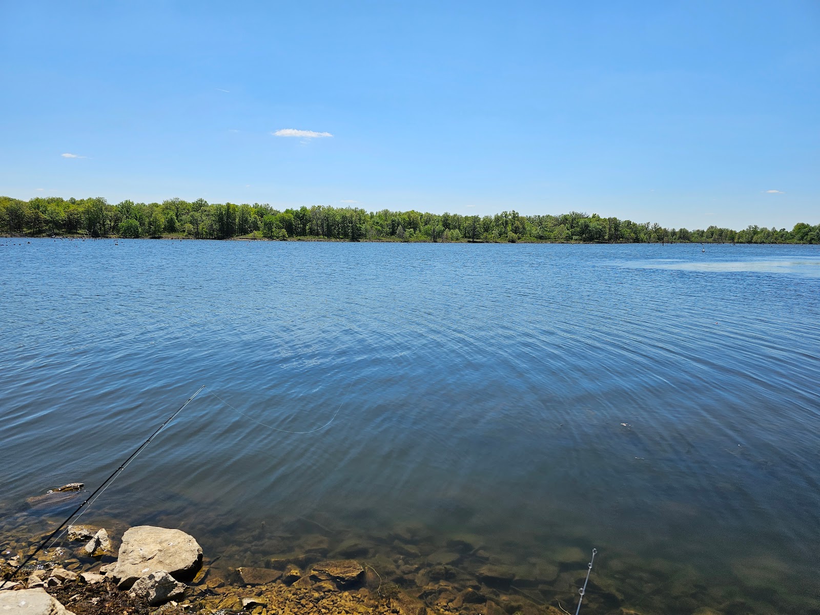 Bushwhacker Lake Conservation Area
